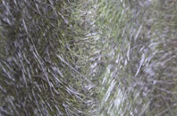 Smallwood Hey fibreglass roof work